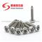 A2 Stainless Steel 304 Countersunk Flat Head Torx Pin-In Self Tapping Security Screws