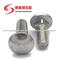 Square Neck Carriage Bolt DIN603 Stainless Steel Carbon Steel Zinc Plated HDG Bolt