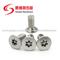 SS304 Stainless Steel Flat Head Pin-In Countersunk Torx Anti-Theft Machine Screw
