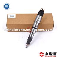 Fuel Injector For Ford Diesel For Fuel Injector For Hyundai