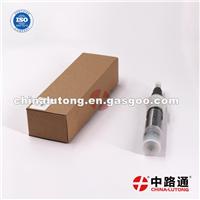 Fit For Delphi Common Rail Injector Injector Common Rail