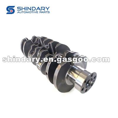 1005001-D19-00 Crankshaft Assy