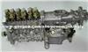 DONGFENG Fuel Injection Pump 3908568