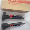 06H905115 Bora 1.8T Passat Jetta Golf 2.0 Ignition Coil 06H905115 06A905115 0221604113 06A905115B New