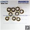 WABCO Locking Nut8915030002