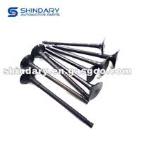 E4G16-1007012 Exhaust Valve