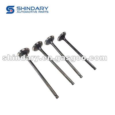 10070015-A01-B00 Exhaust Valve