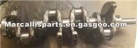 Chevrolet Crankshaft 12619107