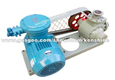 YQB LPG Transfer Pump