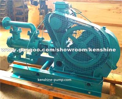WBR High Temperature Electric Reciprocating Pump