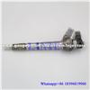 Common rail injector 0445110075