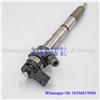 Common rail injector 0445110170
