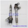 Common rail injector 0445110255