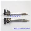 Common rail injector 0445110219