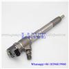 Common rail injector 0445110019