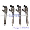 Common rail injector 0445120032