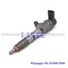 Common rail injector 0445110280
