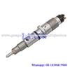 Common rail injector 0445120061