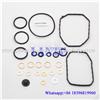 Diesel pump repair kit 2447010011