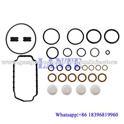 Diesel pump repair kit CP1