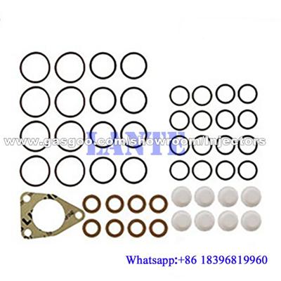 Diesel pump repair kit CP1