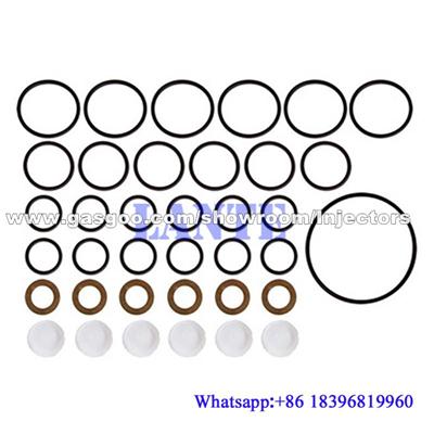 Diesel pump repair kit 800111