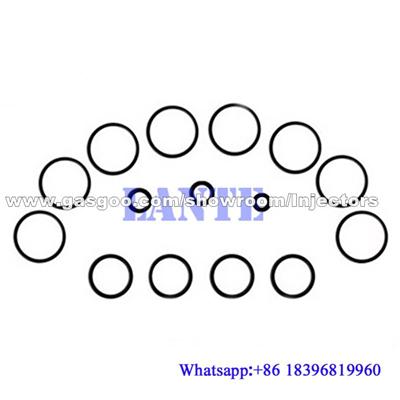 Diesel pump repair kit 1467030304