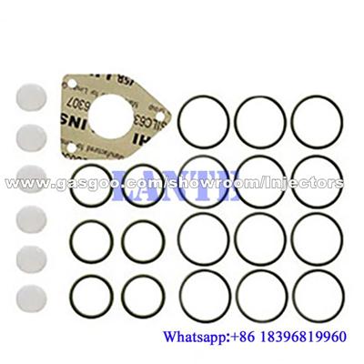 Diesel pump repair kit 1417010010