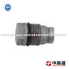 Rail Pressure Limiter Valve 1 110 010 013 Buy Fuel Rail Pressure Relief Limiter Valve