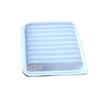 Car Air Cleaner Air Filter 1016000577 For Geely MK