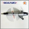 Common Rail Diesel Fuel Injection-Cummins Injector Weichai WP10 0 445 120 391