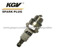 Small Engine Double Iridium Spark Plug D-BM6A