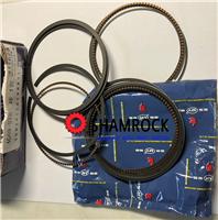 Great Wall Wingle 3 4G69S4N Orginial Piston Ring Set Great Wall Haval Steed 4g69 Parts