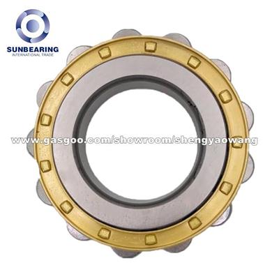 RN306 Cylindrical Roller Bearing 30*62*19mm With Brass Cage