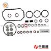 Cav Dpa Pump Seal Kit 1 467 010 059 Common Rail Injector Overhaul