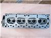 Cylinder Head 11040-55K10 For NISSAN H20
