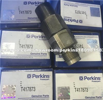 Perkins/CAT Caterpillar 320D/323D RELIEF VALVE T417873 C6.6 416-7101