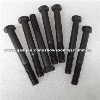 CCEC Cummins KTA50 KTA38 Diesel Spare Parts 108767 Screw Hexagon Head Cap