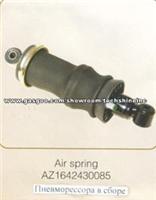 Air Spring