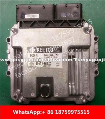 Car ECU（Electronic Control Unit）39123-2B920/39123 2B920 39104-C/39104-2B613 39120-2B923/39120 2B923 39122-2B425/39122 2B425 39122-2B410/39122 2B410