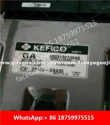 Car ECU（Electronic Control Unit）39122-2B435 9003100239KB 39134-2B451 39123-2B332 /39123 2B332 39110-03606 39105-03606 39103-2B012