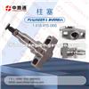 Hot Selling Diesel Pump Plunger Tool1415-066-Bosch Barrel And A Plunger
