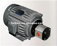 AC MOTOR PUMP GROUP FB19-029 380V 1.5KW / 3KW / 3.7KW