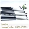 Car Rear Tailgate Lift Supports Struts Shocks 817712E000 Gas Spring / Gas Lifts For Automobile