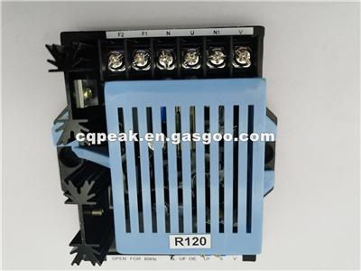 Automatic Voltage Regulator (AVR) R120