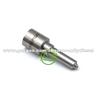 Common Rail Injector Nozzle DLLA148P2516 DLLA146P2563