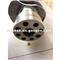 Crankshaft For Hino J08C/J08E 13411-2241 13411-E0100 - img3