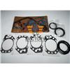 D924L Gasket Kit For Liebherr Engine