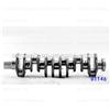 Engine For Daewoo OEM 51.02101.7123 DO846 / D1146 Crankshafts For Man