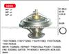 Thermostat For BMW 11531733803, 11531712043, 11537511083, 11531743528, 11531743542.